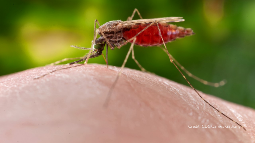 Iavi Report Malaria Mabs