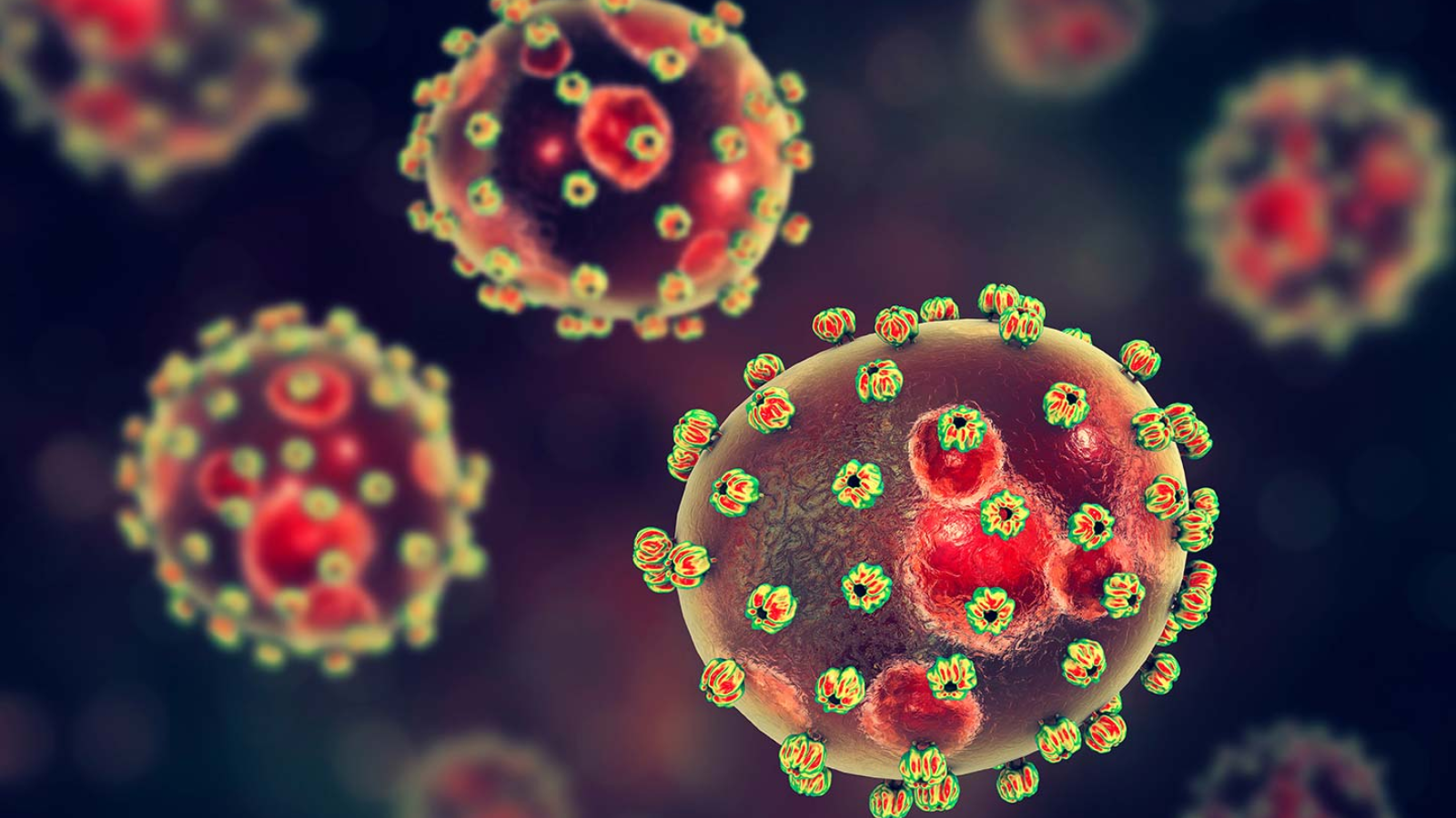 Lassa Fever Viruses 3D Illustration