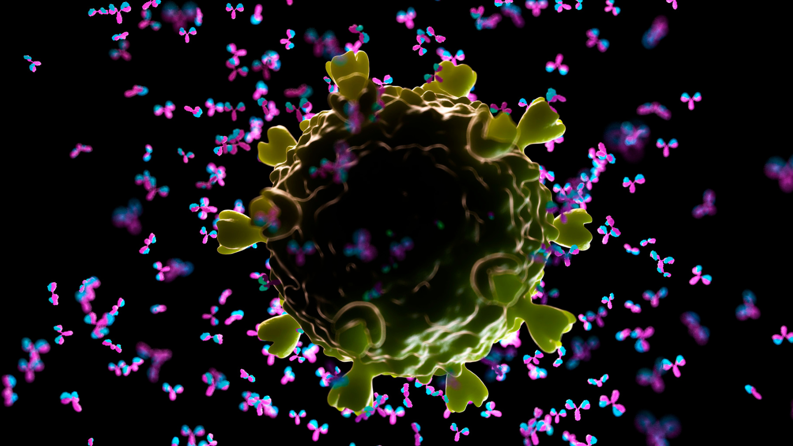 Illustration of antibodies attacking HIV. Credit: Science Photo Library.